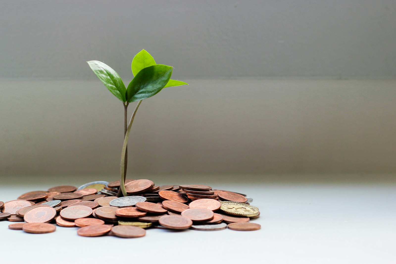 Planificación de ahorro familiar